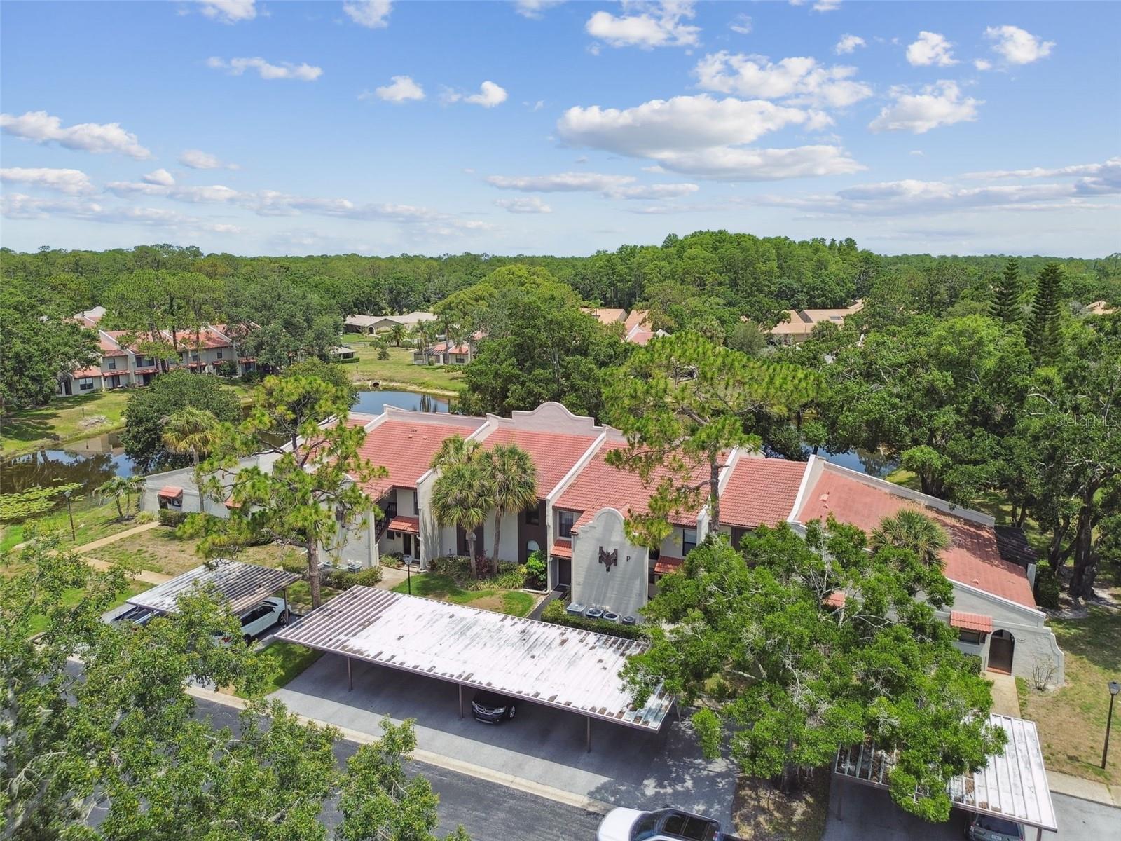 TARPON WOODS CONDO - Residential