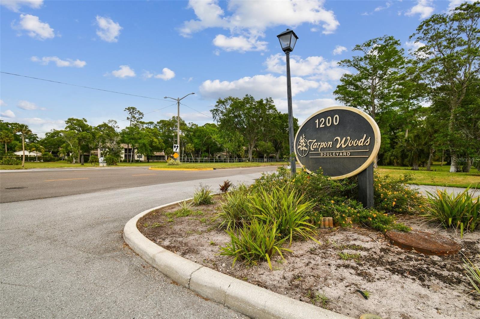 TARPON WOODS CONDO - Residential