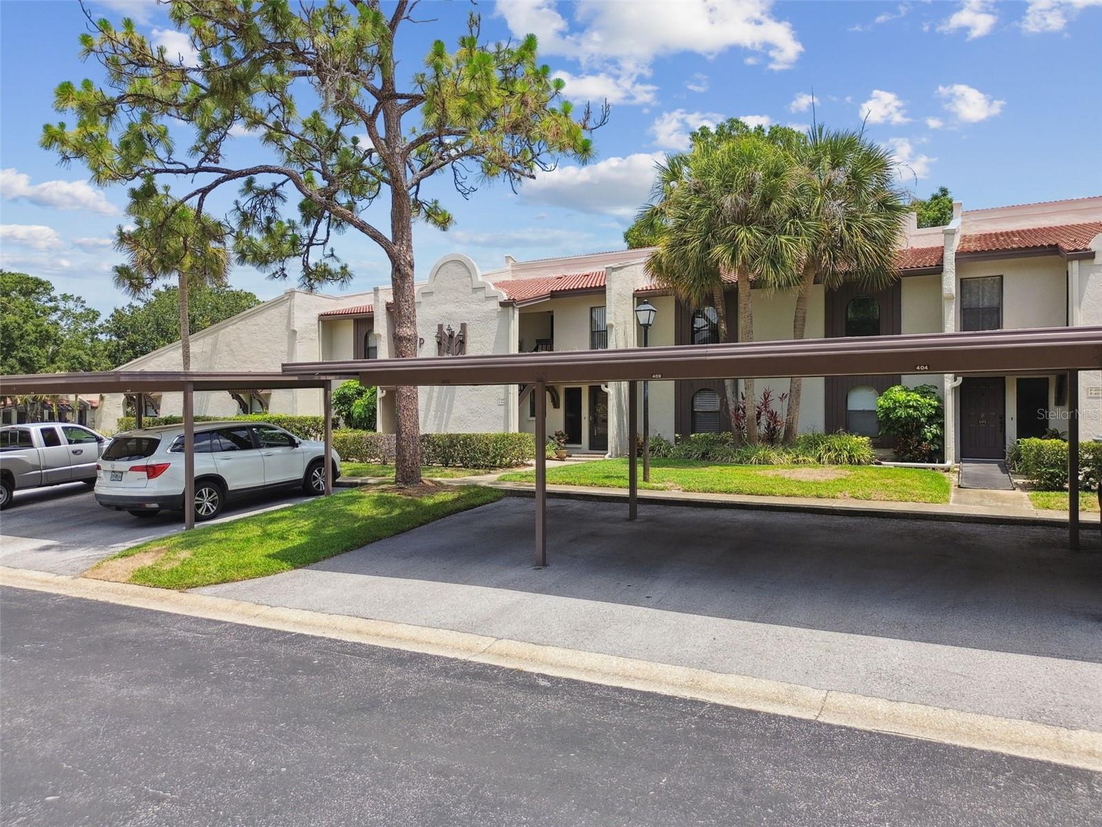 TARPON WOODS CONDO - Residential