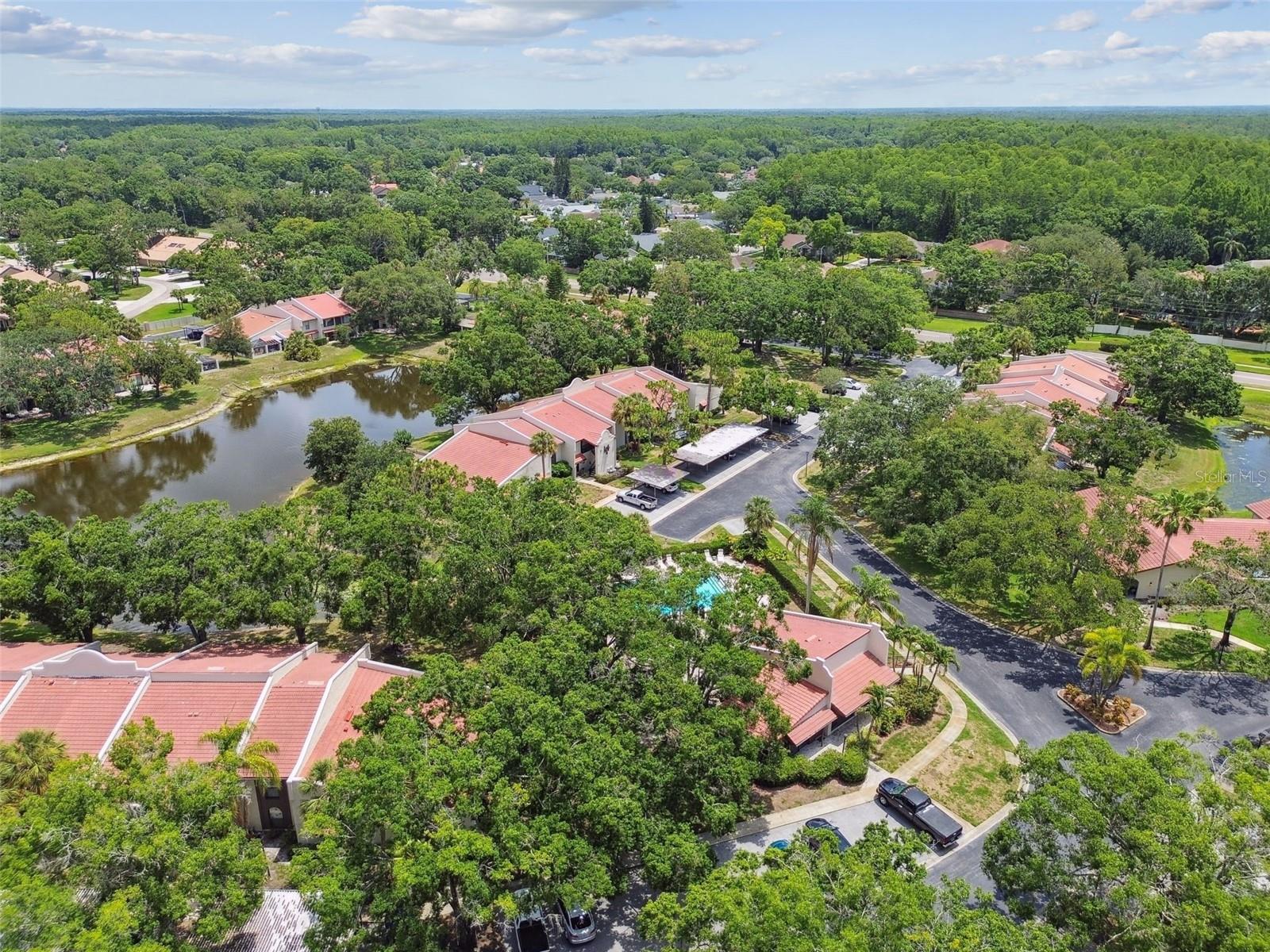TARPON WOODS CONDO - Residential