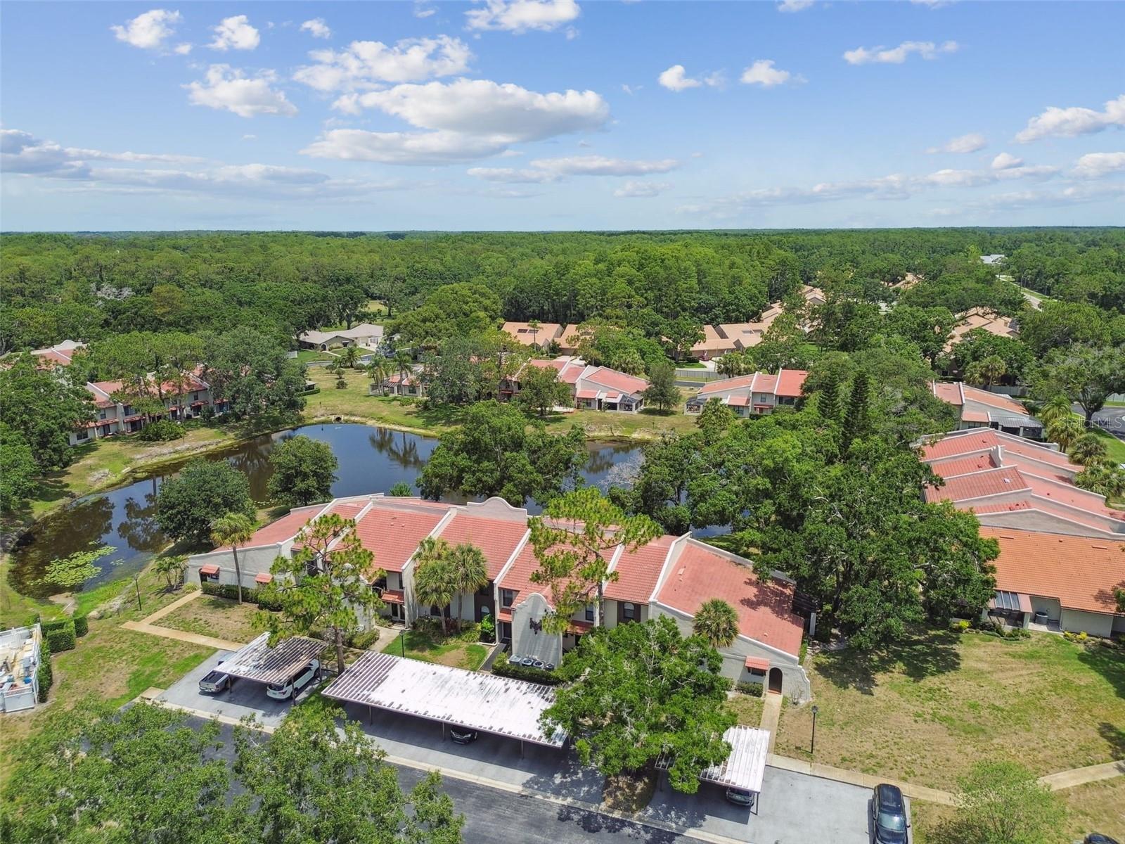 TARPON WOODS CONDO - Residential