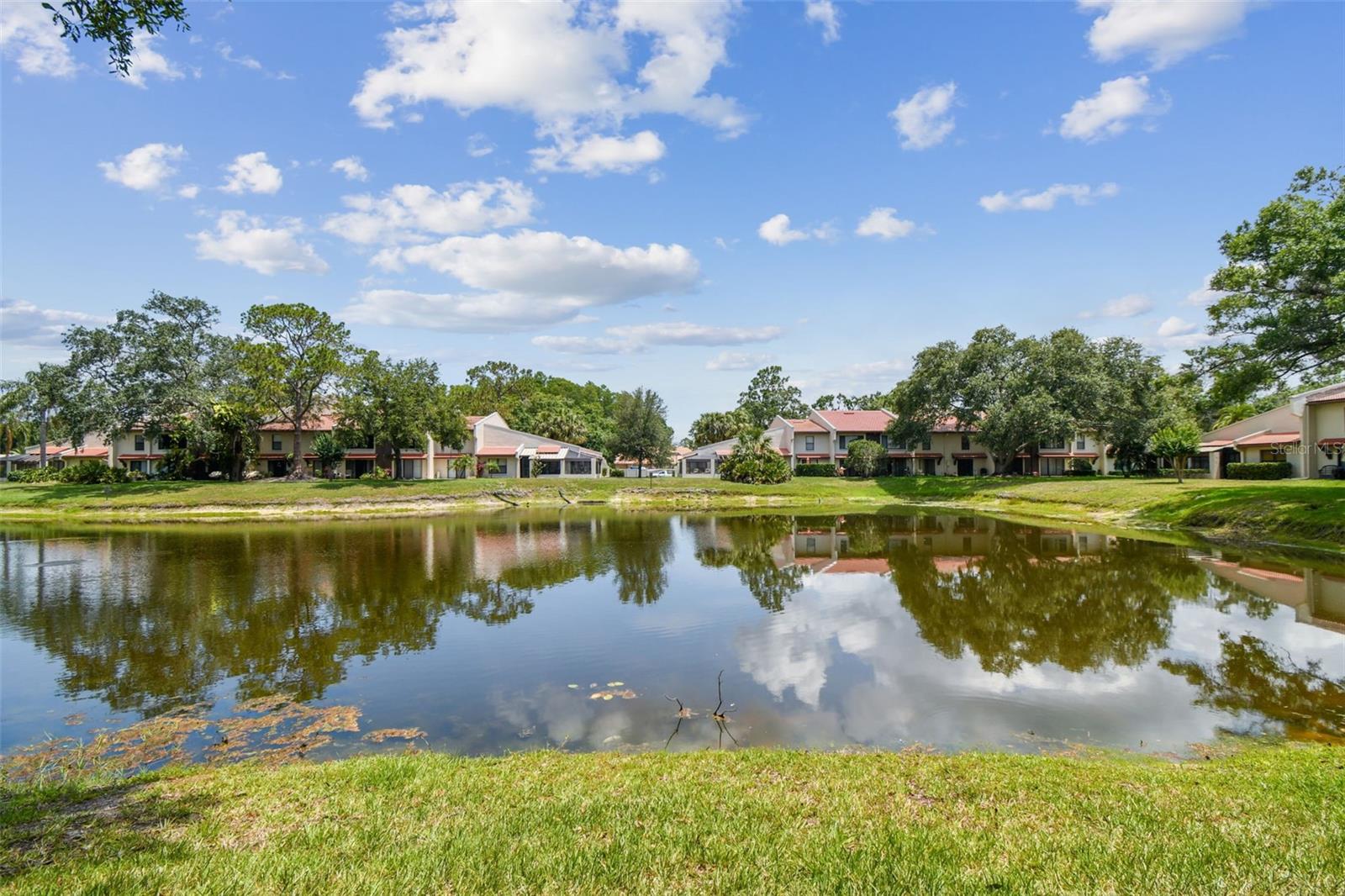 TARPON WOODS CONDO - Residential