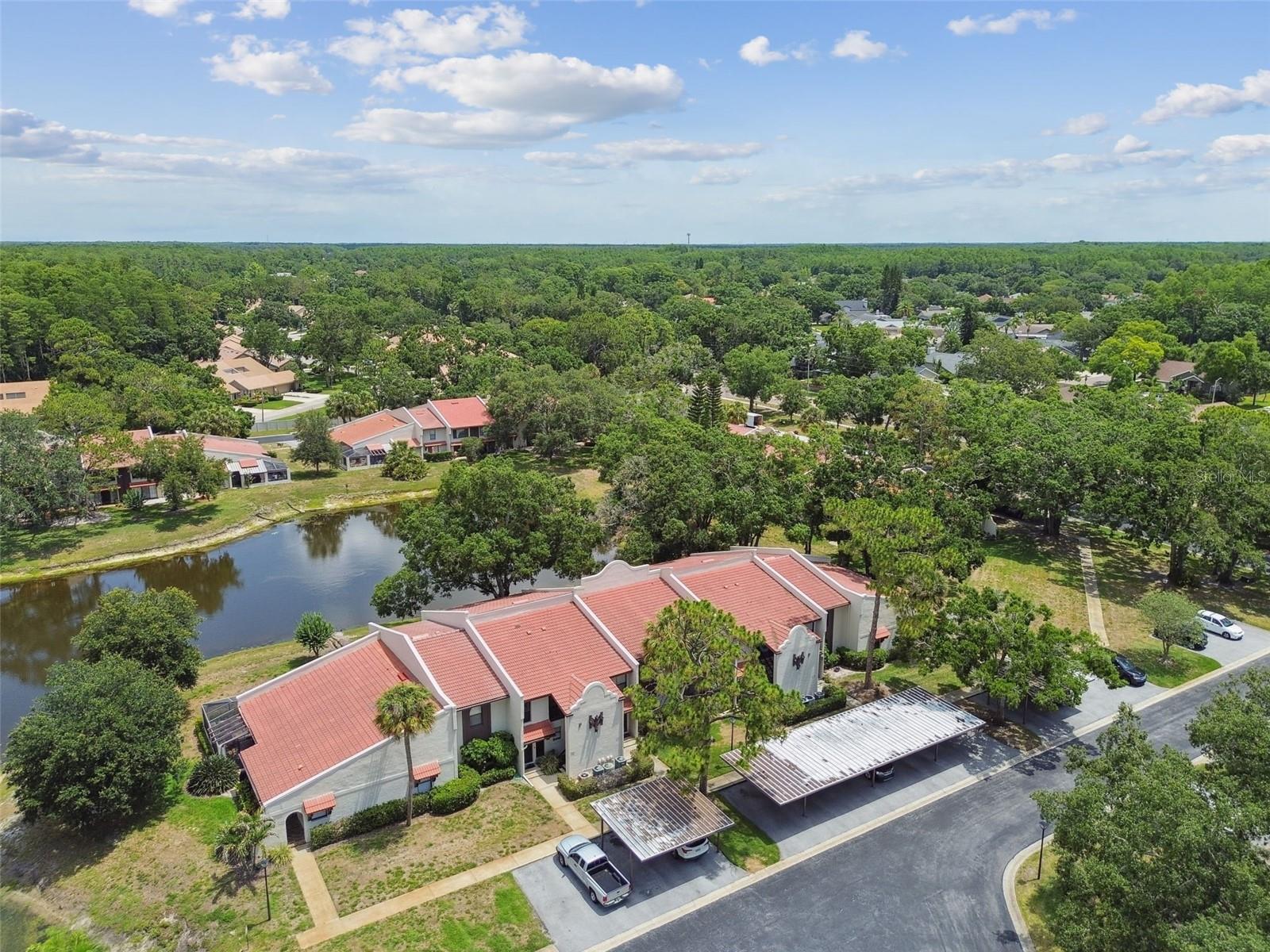 TARPON WOODS CONDO - Residential