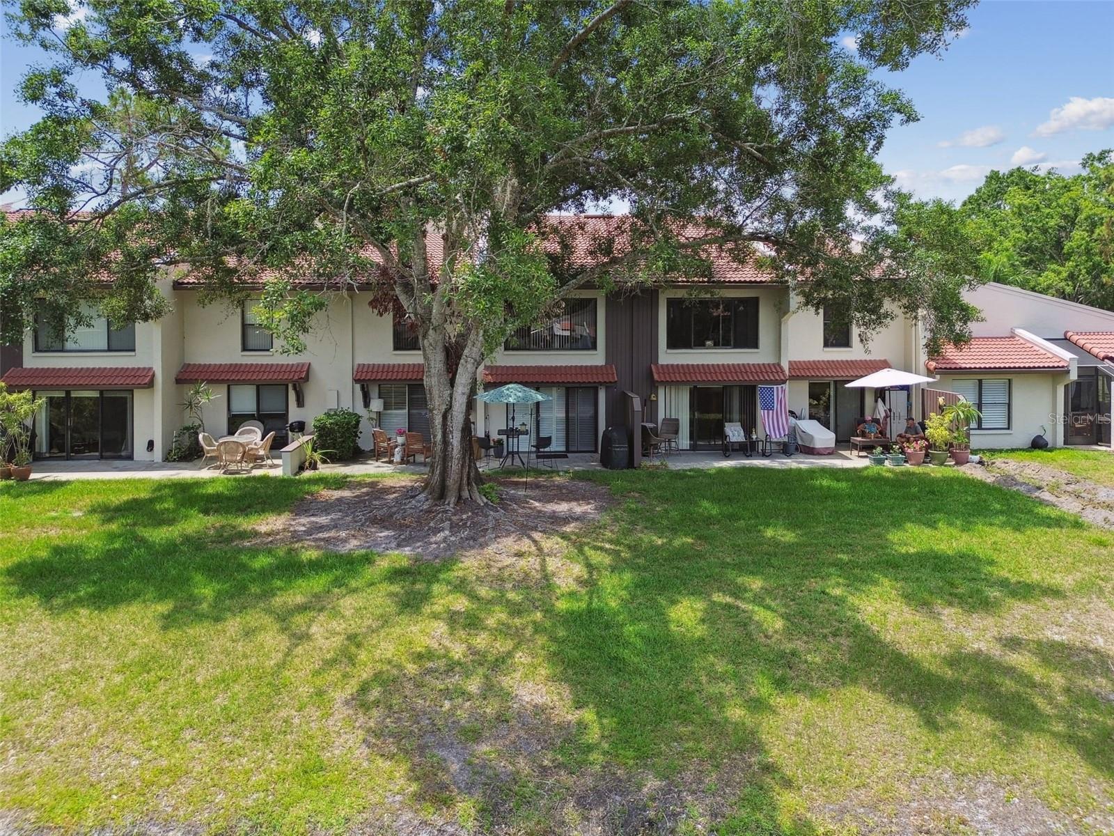 TARPON WOODS CONDO - Residential