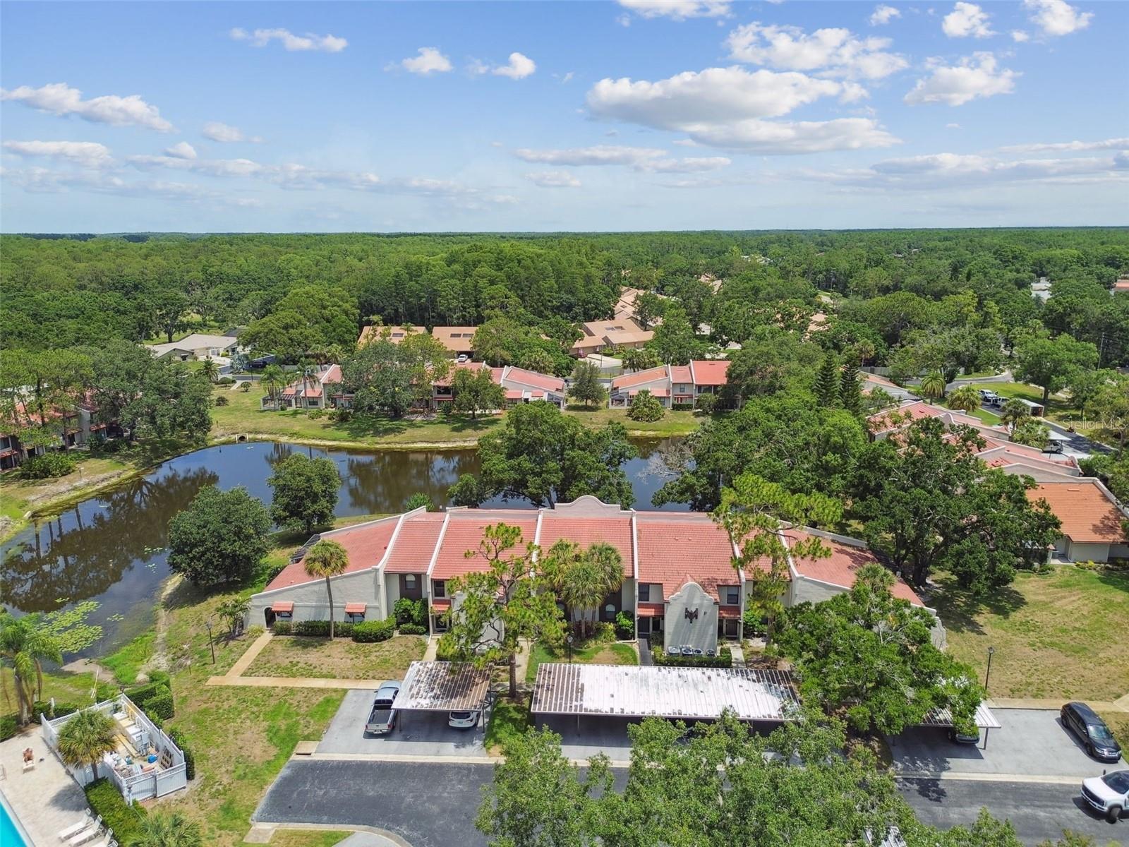 TARPON WOODS CONDO - Residential