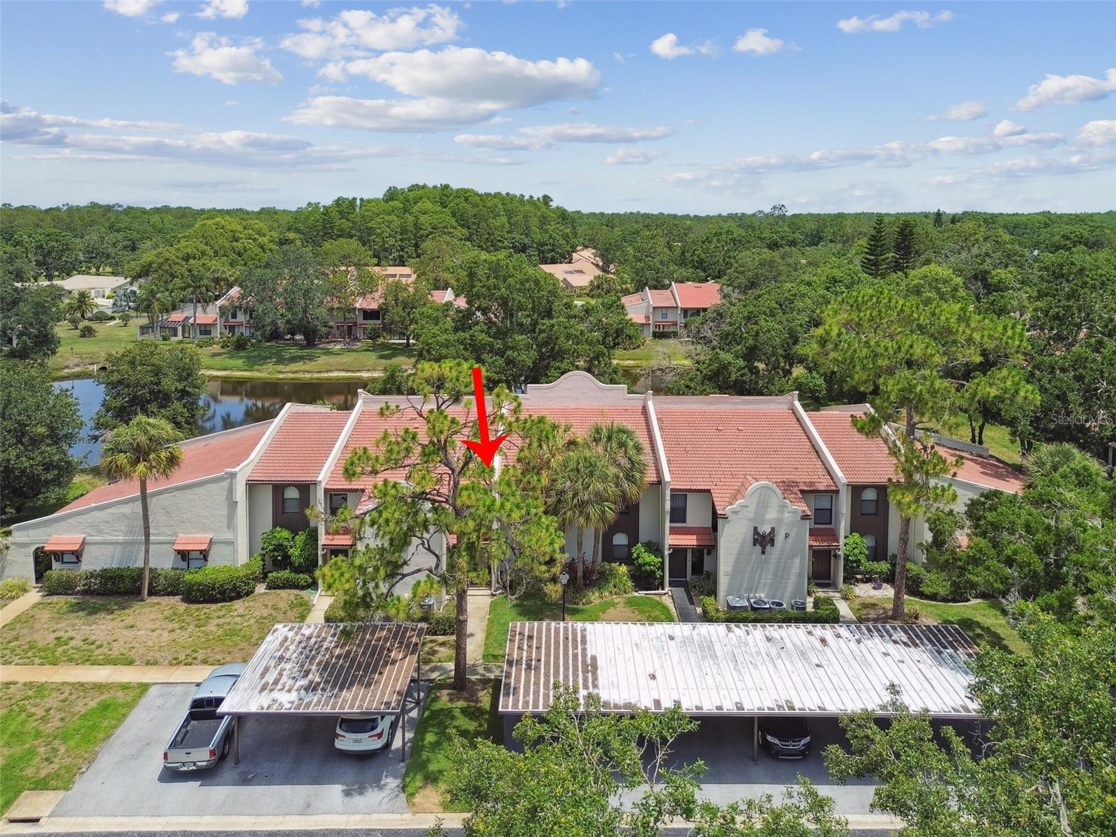 TARPON WOODS CONDO - Residential