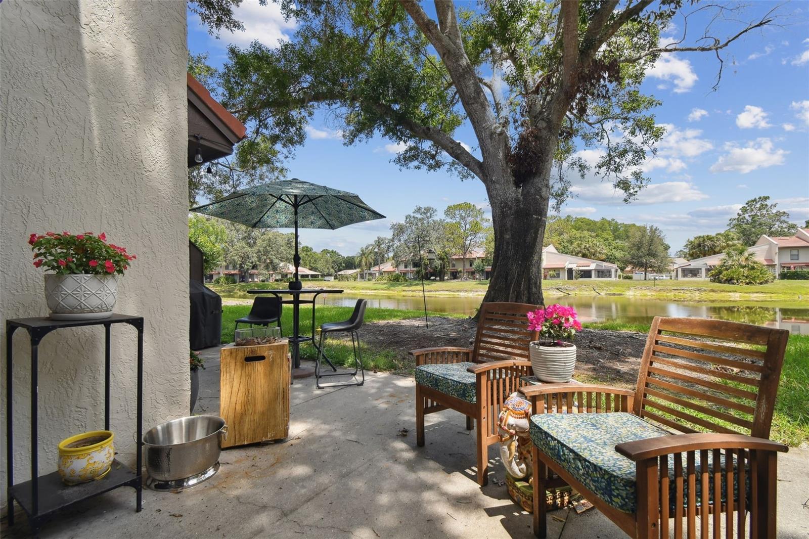 TARPON WOODS CONDO - Residential