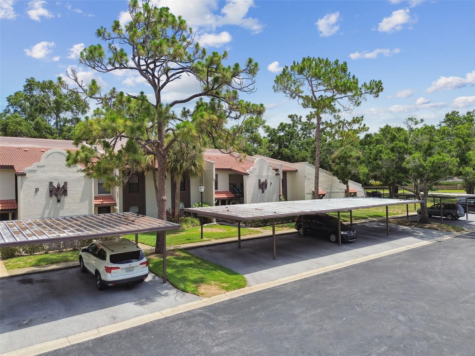 TARPON WOODS CONDO - Residential