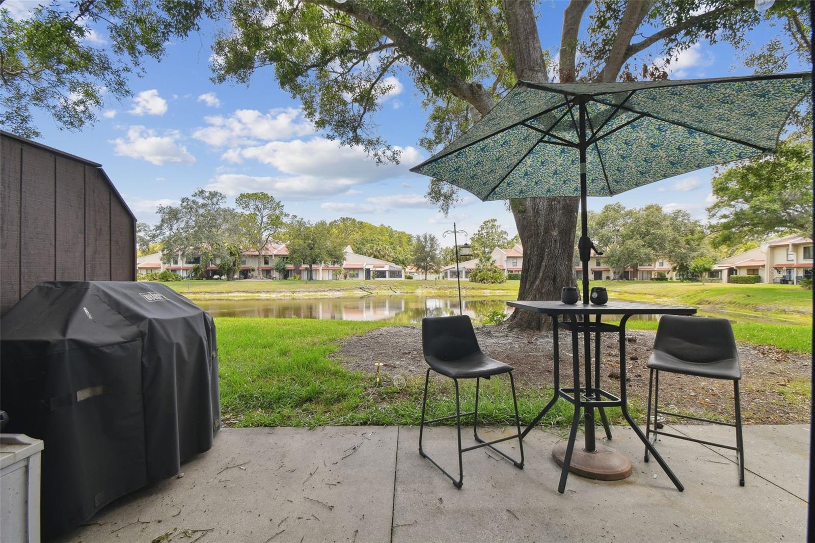 TARPON WOODS CONDO - Residential