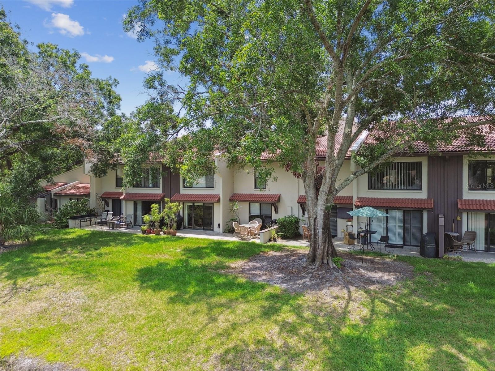 TARPON WOODS CONDO - Residential