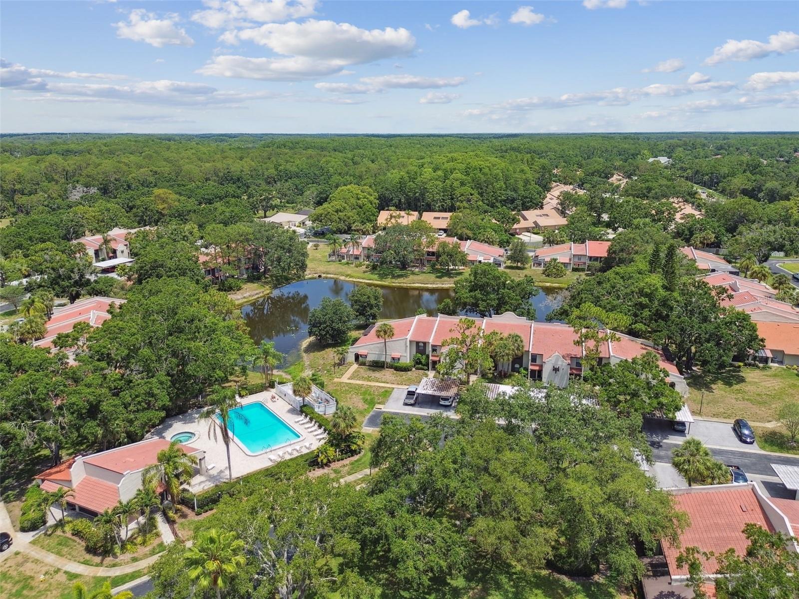 TARPON WOODS CONDO - Residential