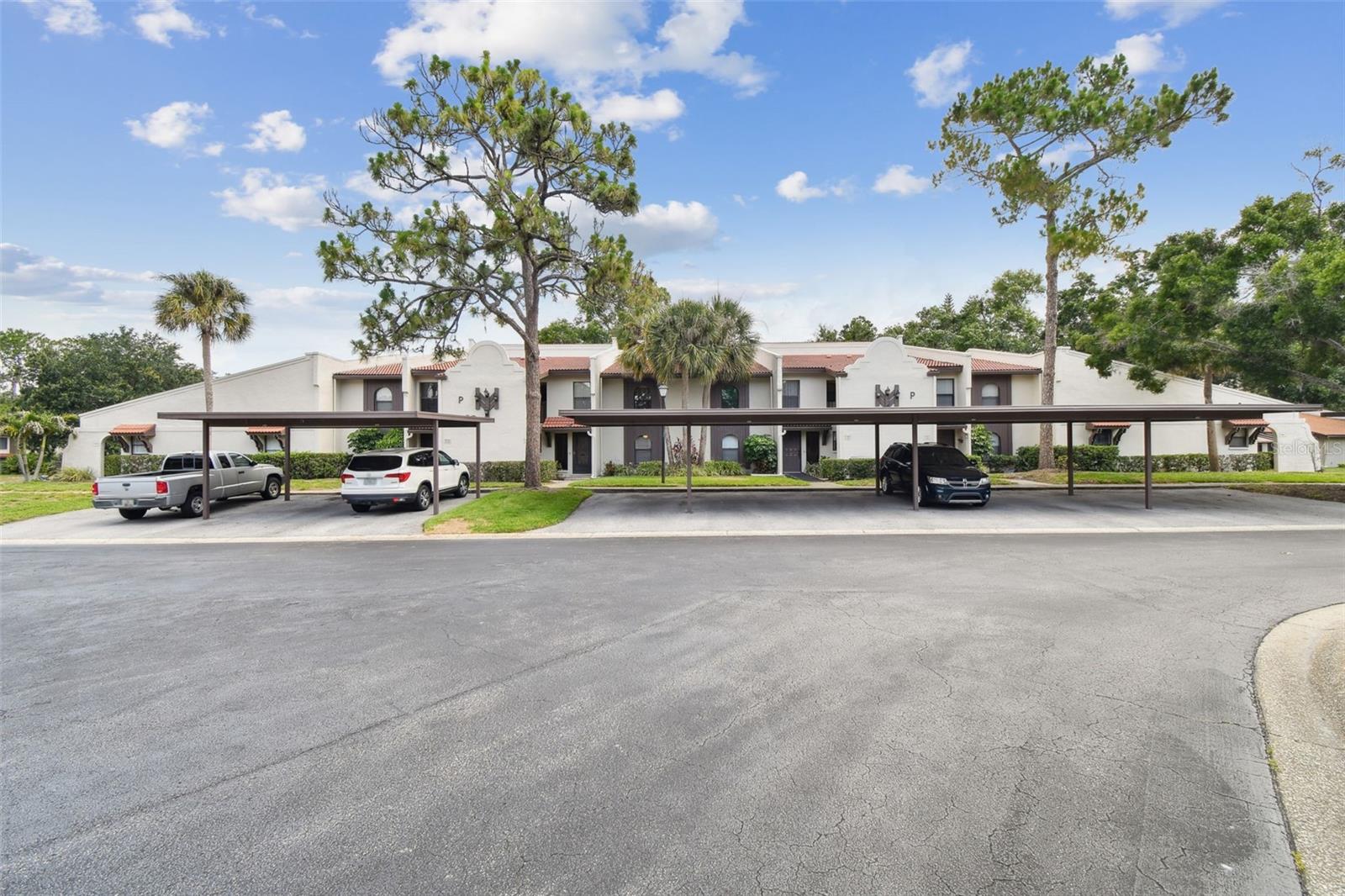 TARPON WOODS CONDO - Residential