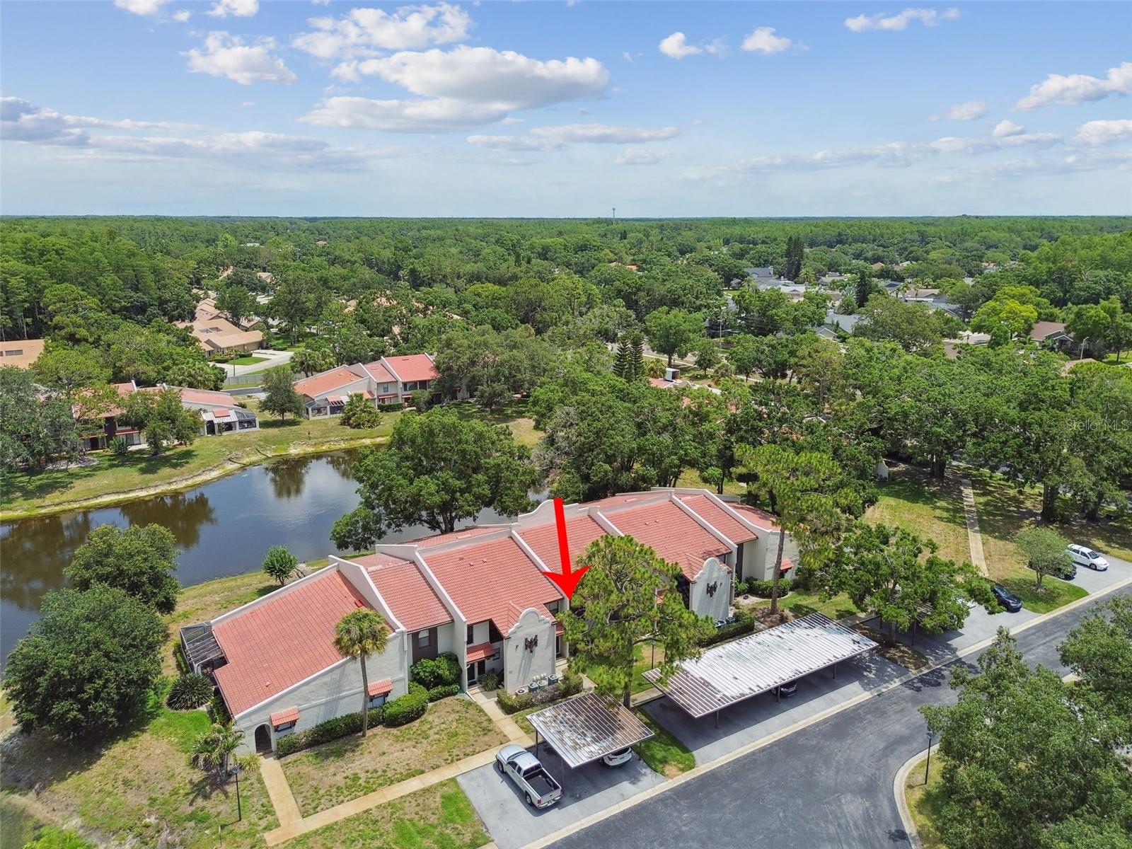 TARPON WOODS CONDO - Residential