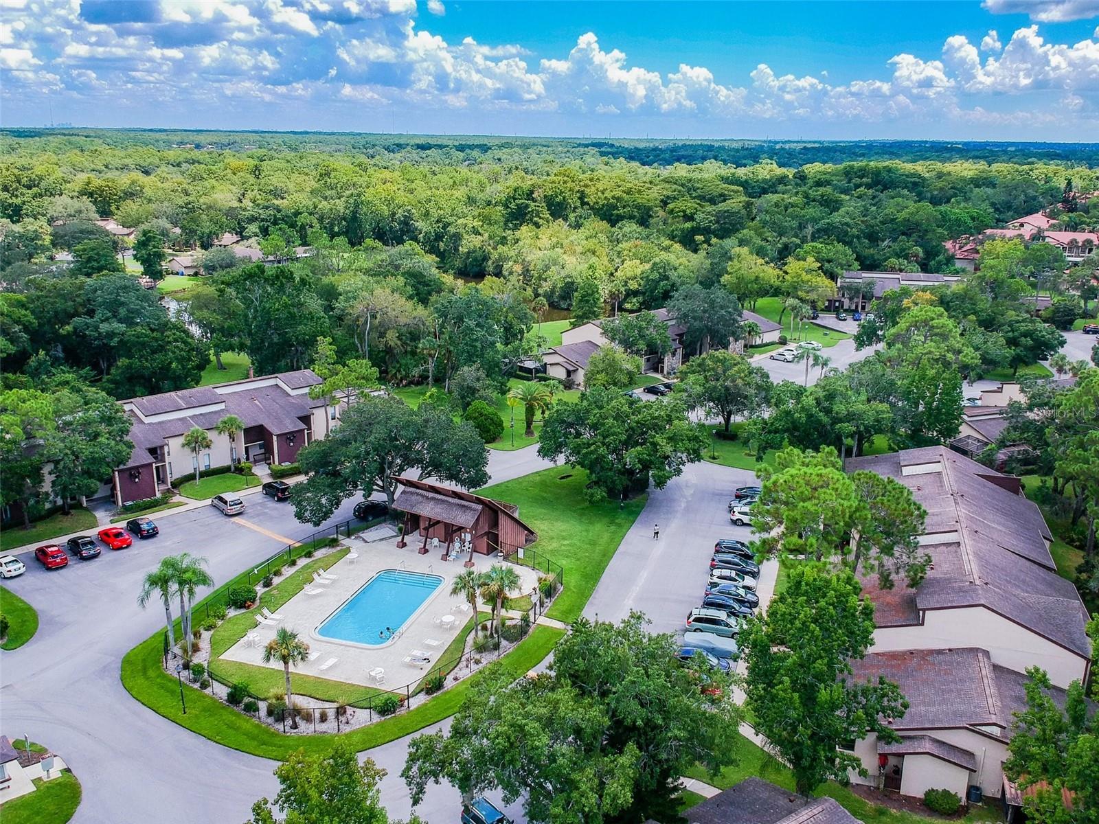 TARPON WOODS CONDO - Residential