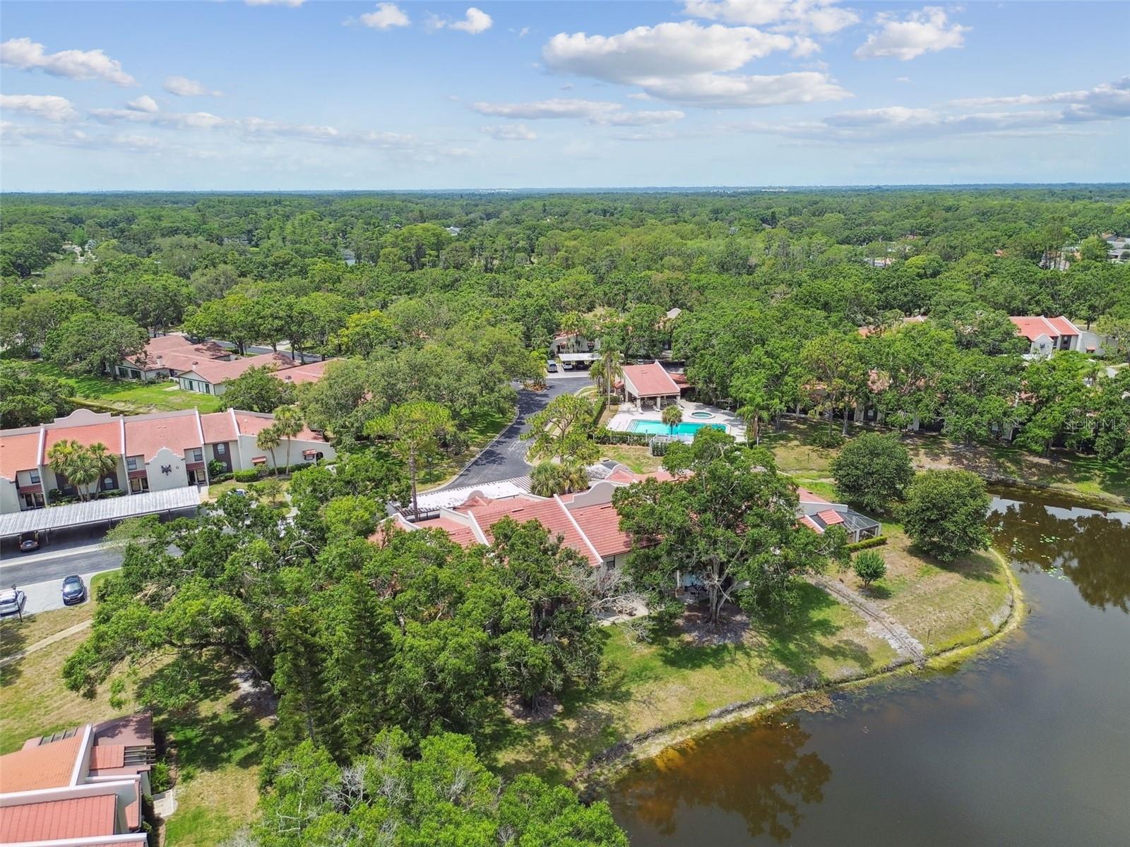 TARPON WOODS CONDO - Residential