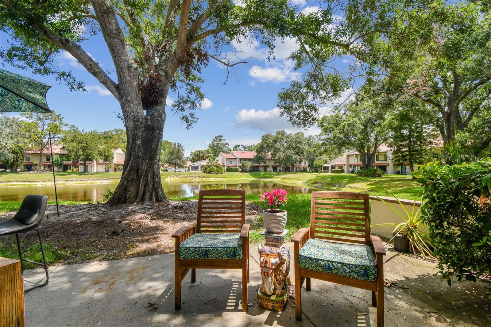TARPON WOODS CONDO - Residential