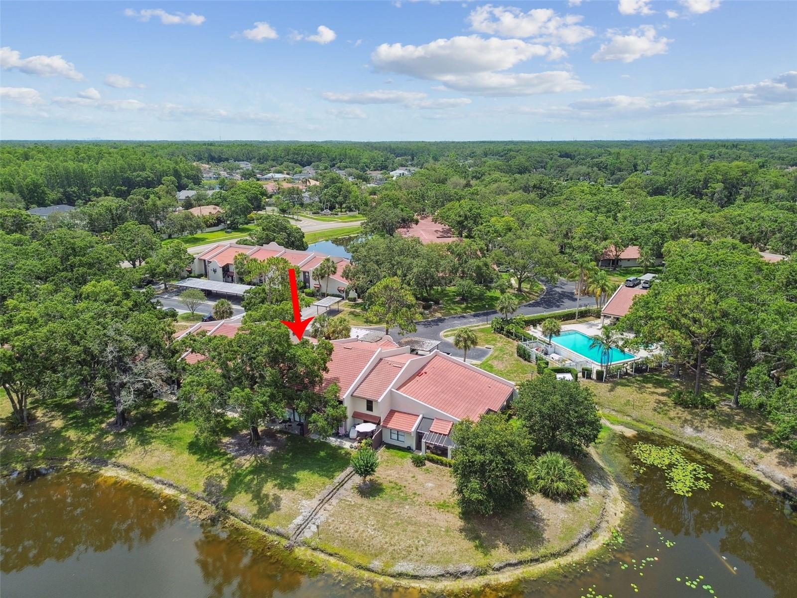 TARPON WOODS CONDO - Residential