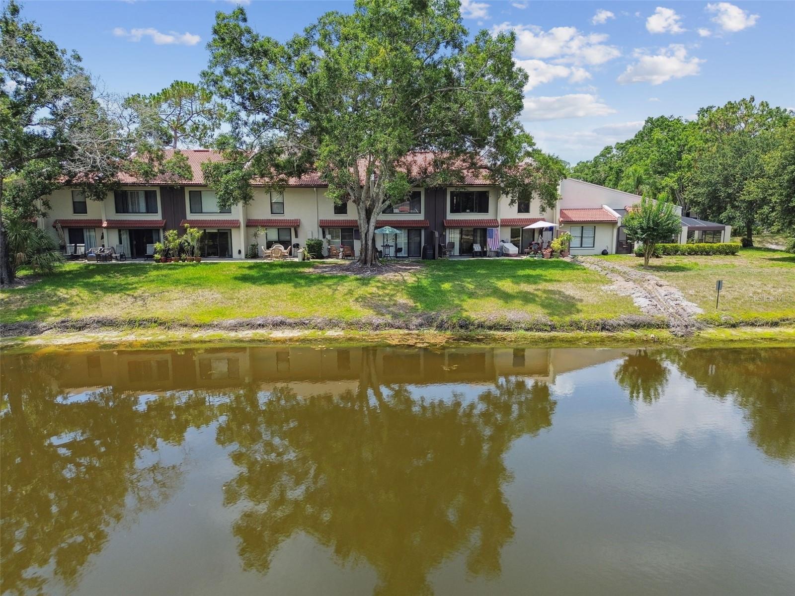 TARPON WOODS CONDO - Residential