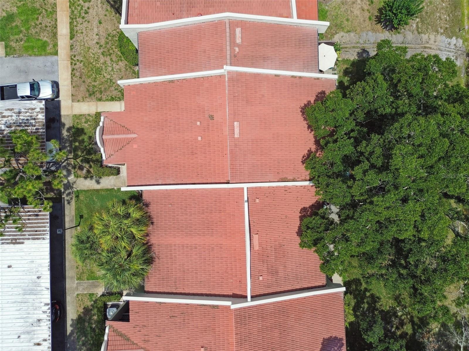 TARPON WOODS CONDO - Residential