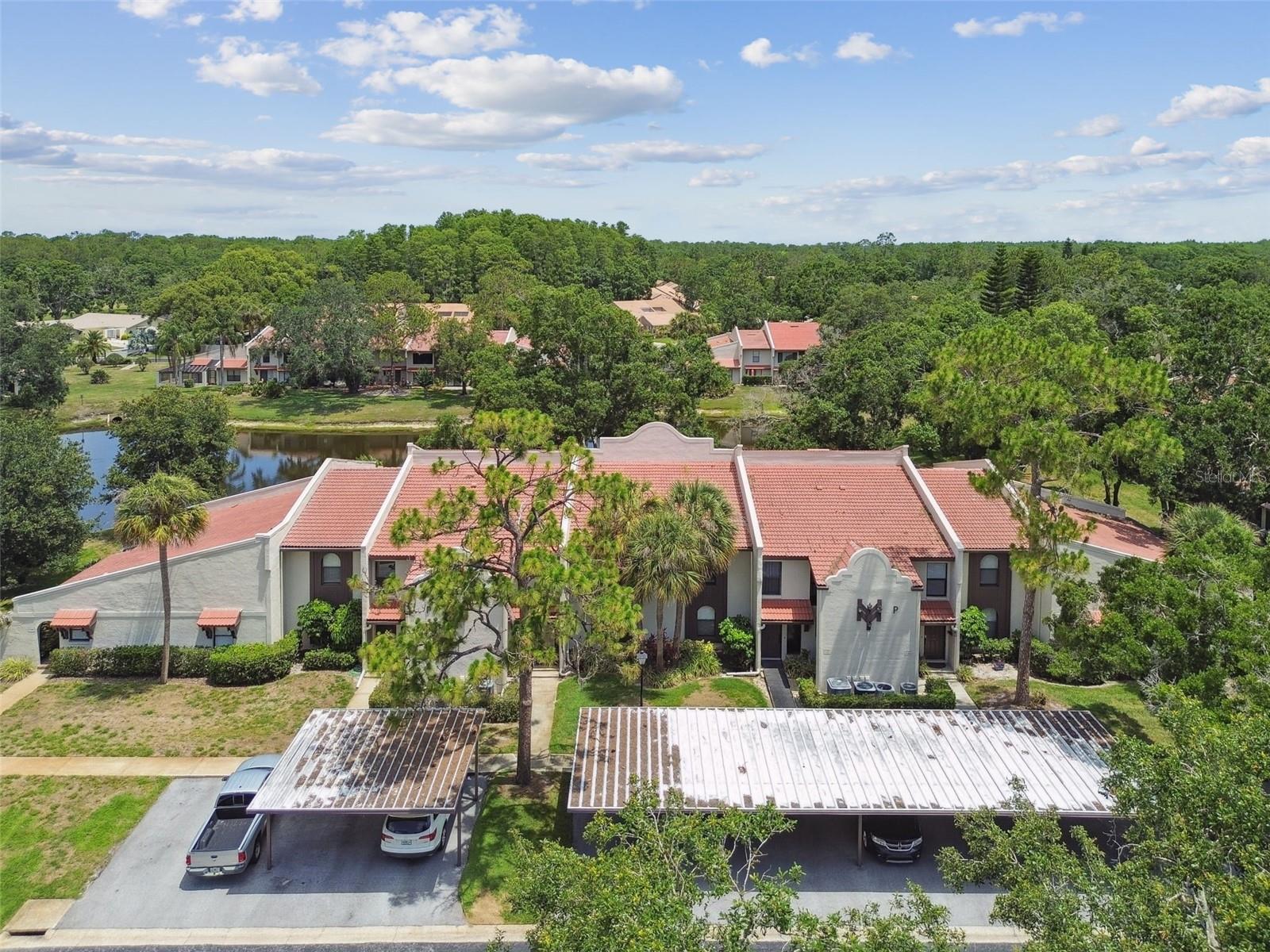 TARPON WOODS CONDO - Residential