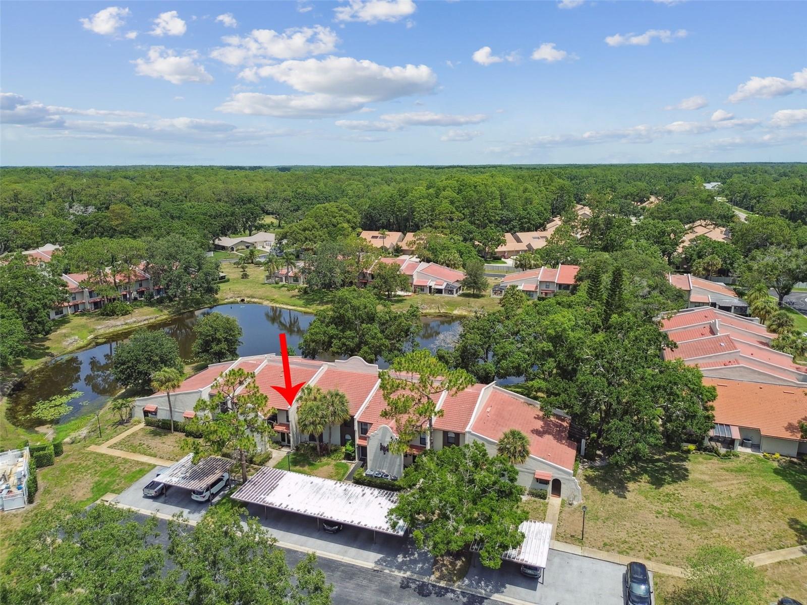 TARPON WOODS CONDO - Residential