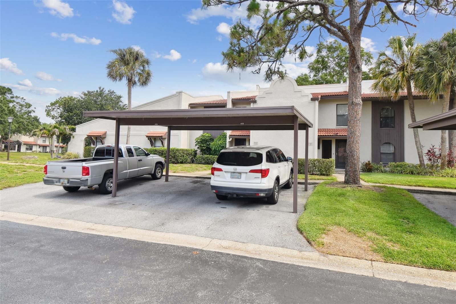 TARPON WOODS CONDO - Residential