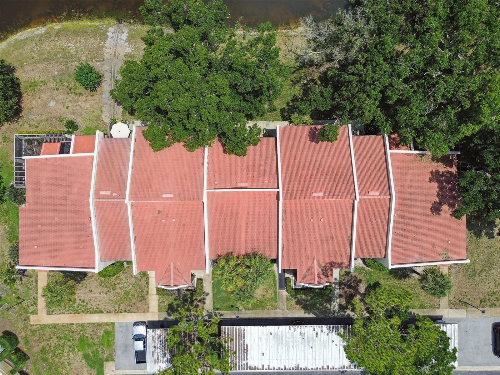 TARPON WOODS CONDO - Residential