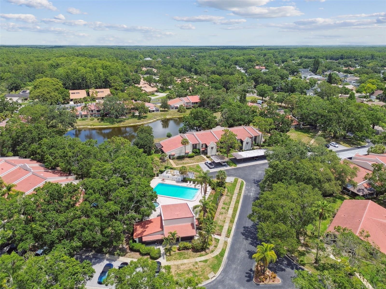 TARPON WOODS CONDO - Residential