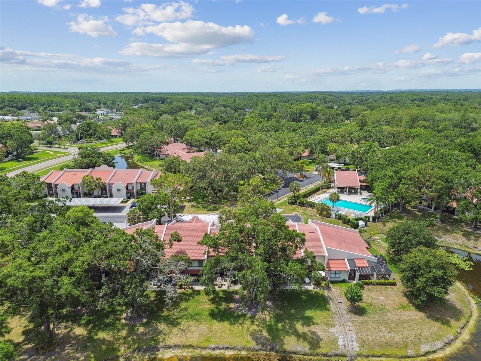 TARPON WOODS CONDO - Residential