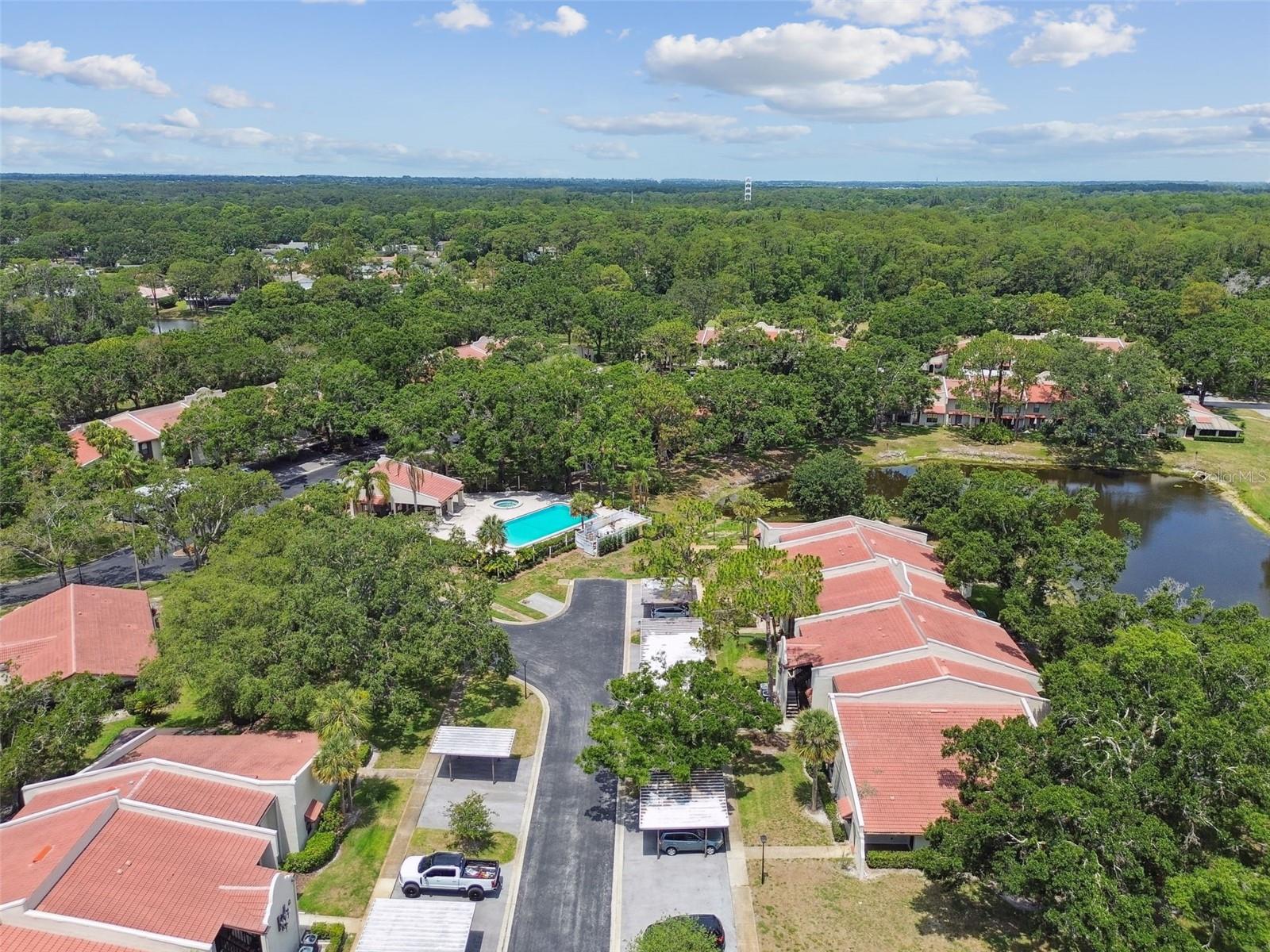 TARPON WOODS CONDO - Residential