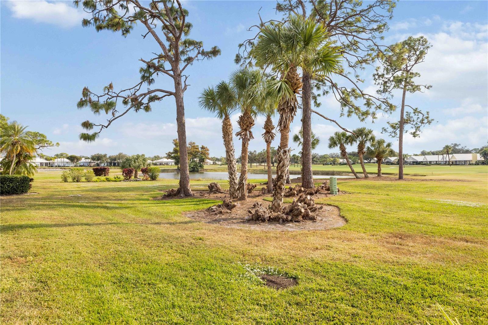 SAINT GEORGE - Residential