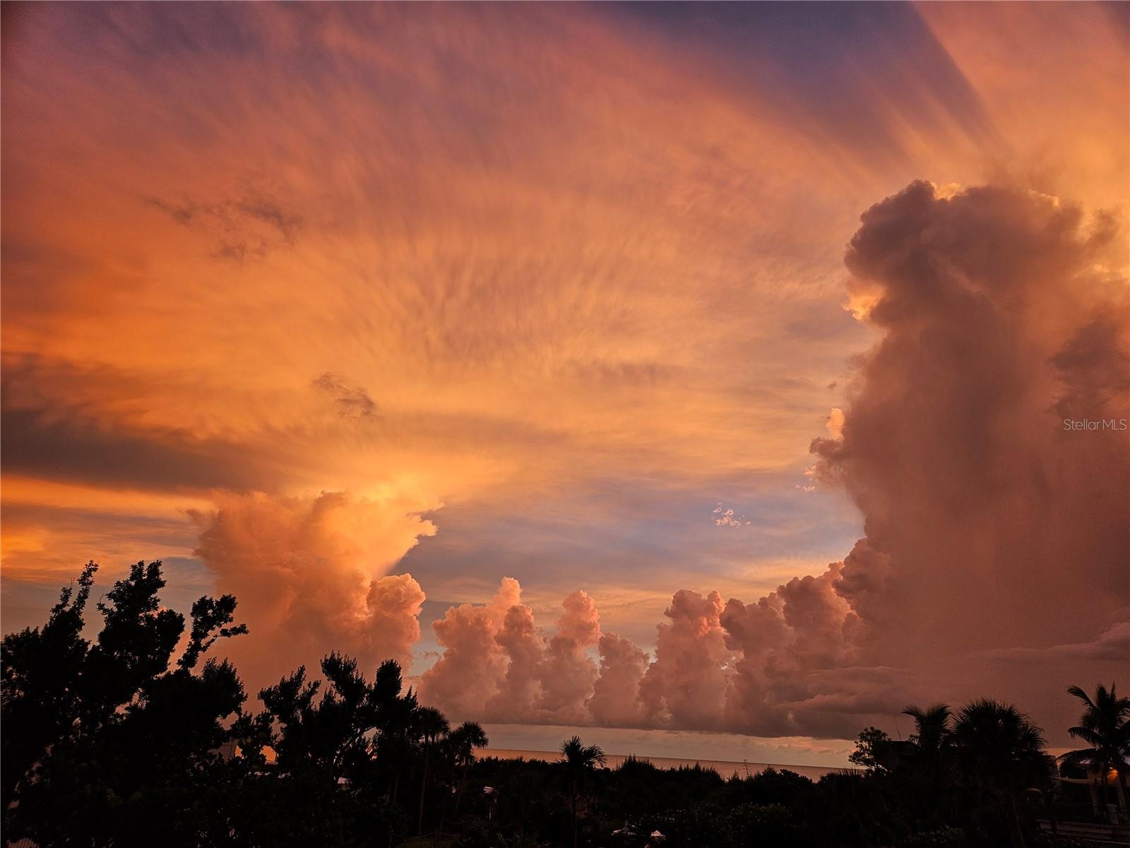 TERRACE EAST - Residential