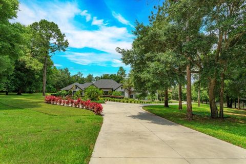 Photo of 35635 High Pines Drive, Eustis, FL 32736 (MLS # O6374177)