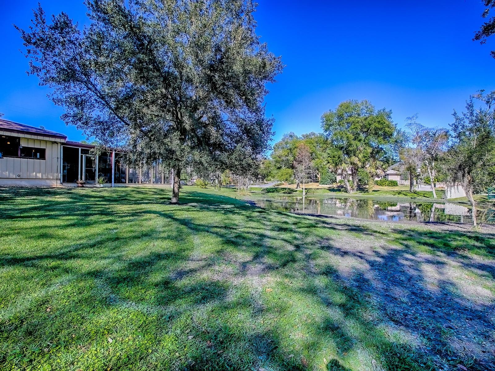 MOUNT DORA PT REP PINE CREST UNIT 02 - Residential