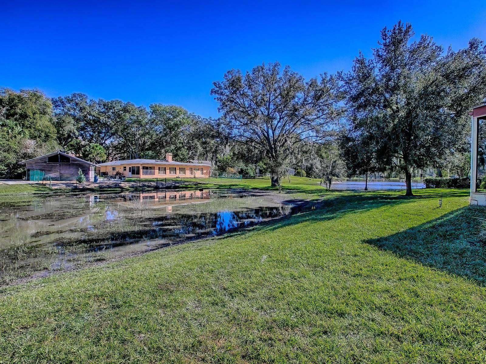 MOUNT DORA PT REP PINE CREST UNIT 02 - Residential