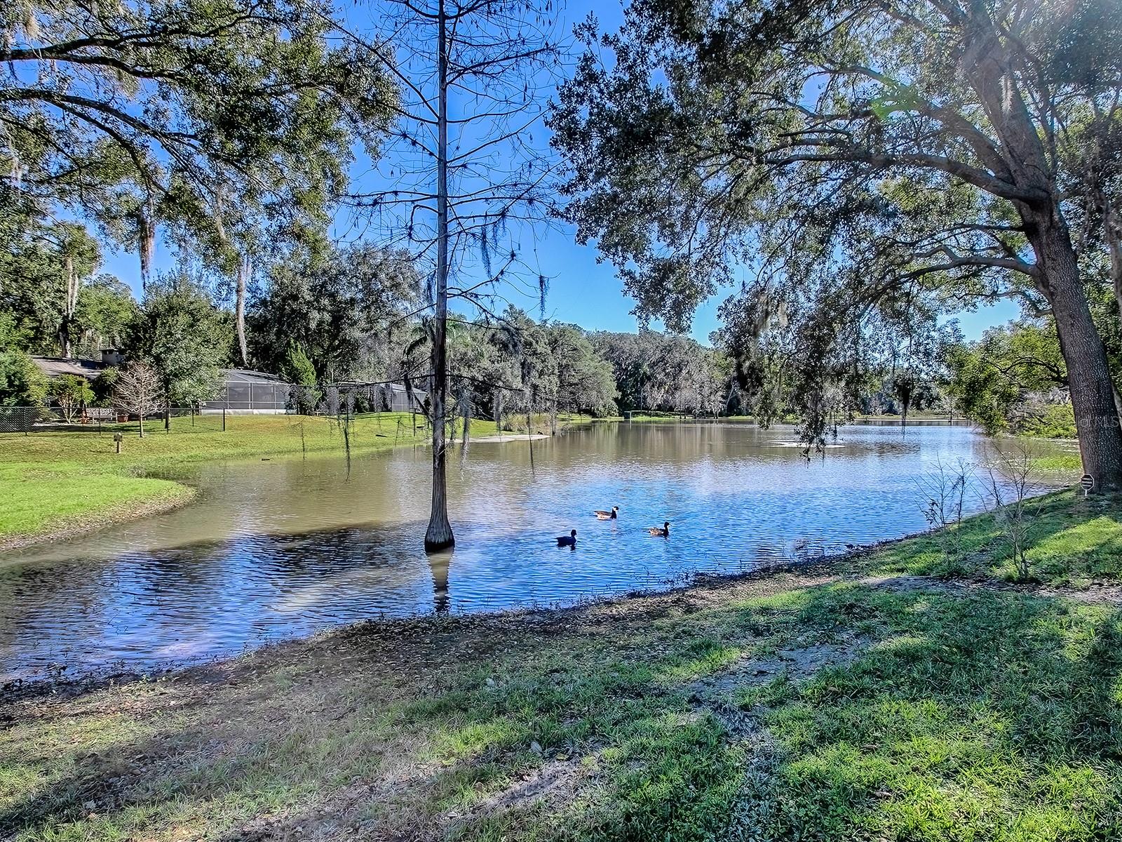 MOUNT DORA PT REP PINE CREST UNIT 02 - Residential