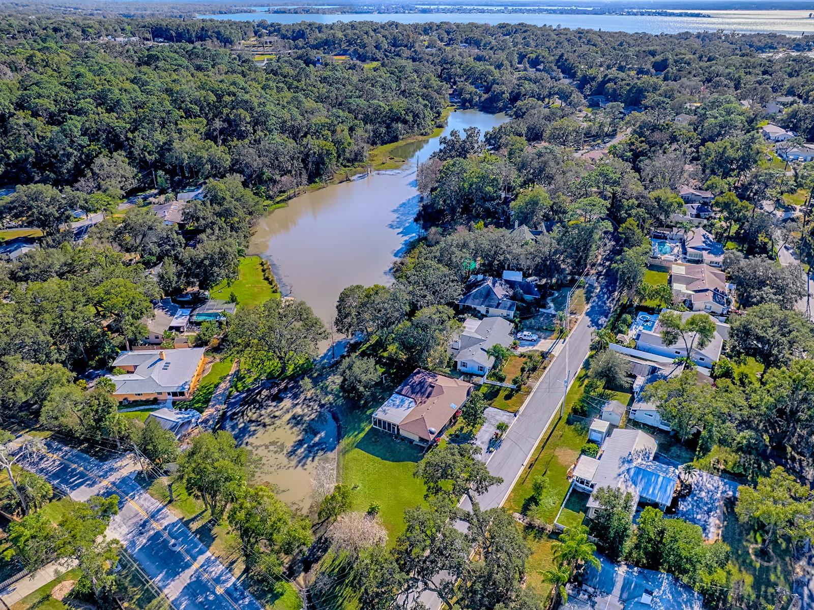 MOUNT DORA PT REP PINE CREST UNIT 02 - Residential