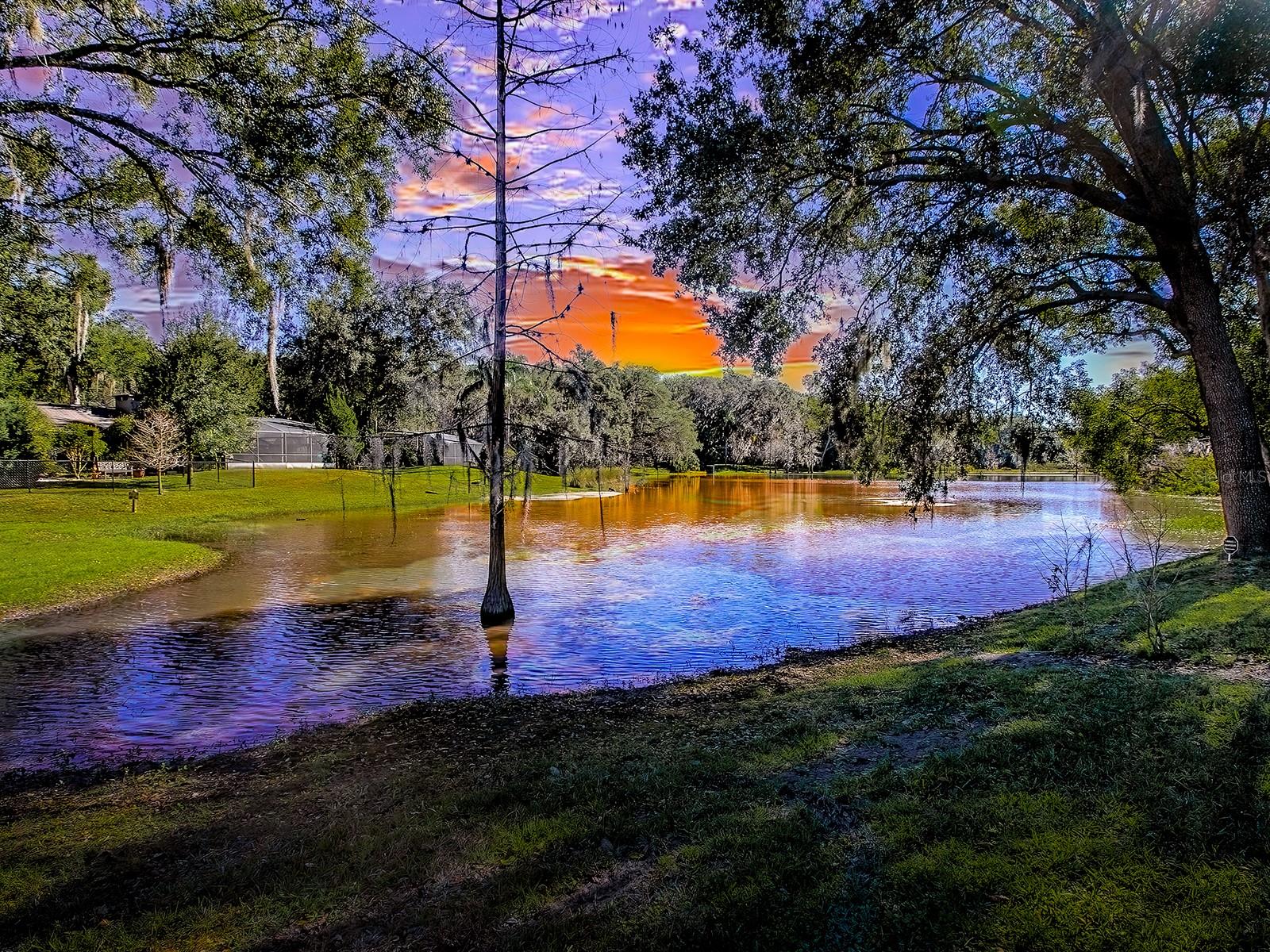 MOUNT DORA PT REP PINE CREST UNIT 02 - Residential