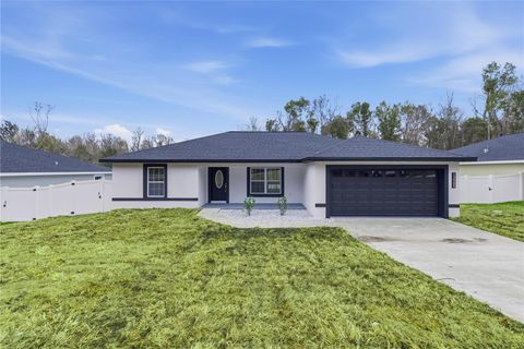 12905 SE 41ST TERRACE BELLEVIEW FL 34420