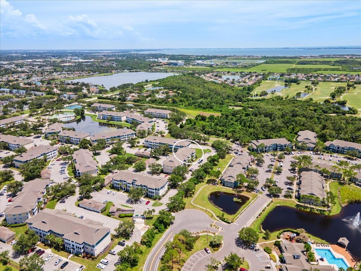 THE PALMS OF CORTEZ - Residential