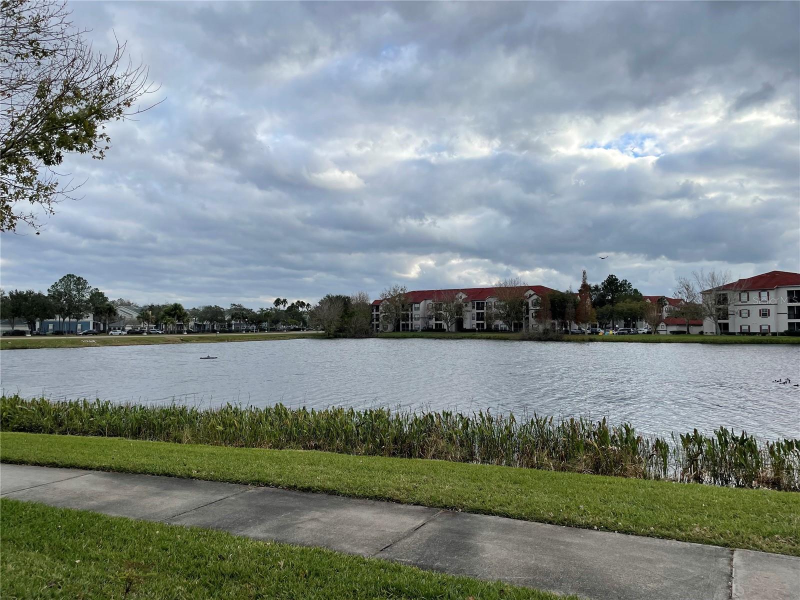 SOUTH TAMPA SUB - Commercial Sale