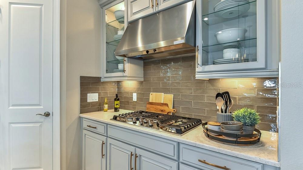 ESPLANADE AT SKYE RANCH - Residential