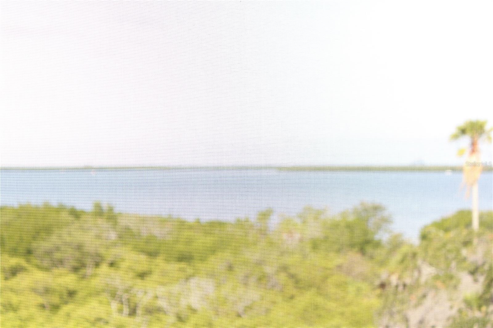 THE ESTUARIES II - Residential Lease