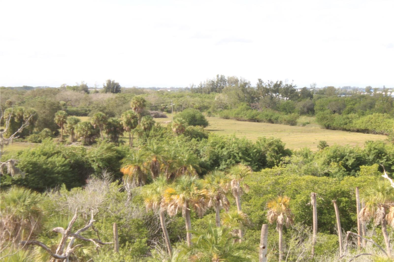 THE ESTUARIES II - Residential Lease