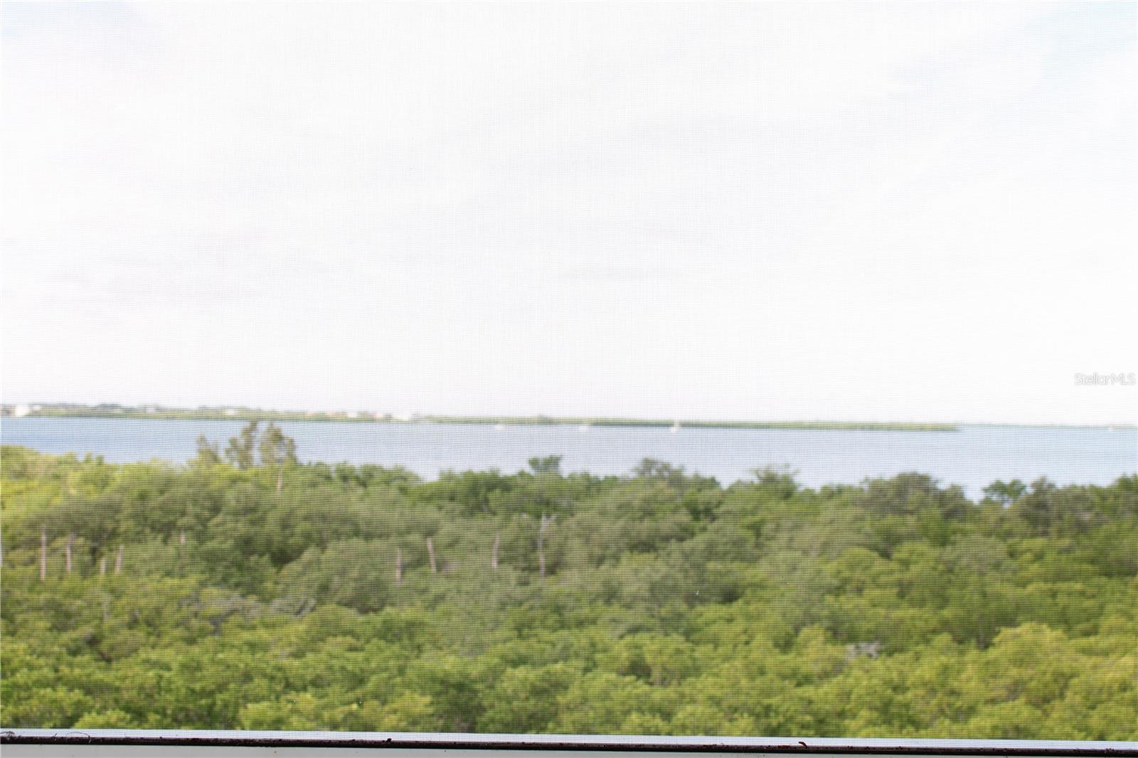 THE ESTUARIES II - Residential Lease