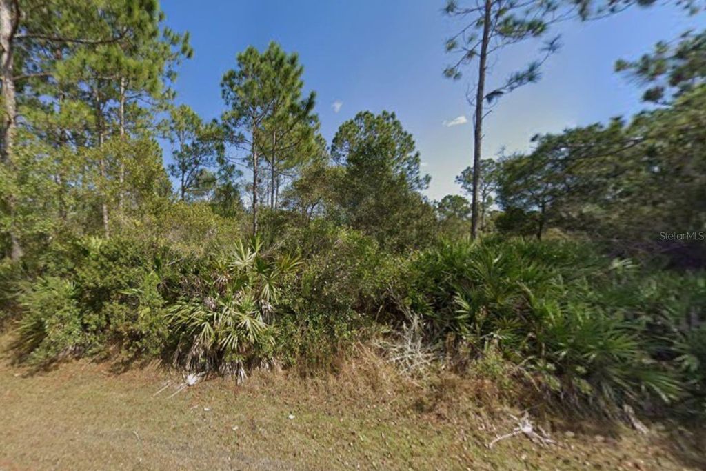 Photo of 29 Ulmaceal Path, Palm Coast, FL 32164 (MLS # TB8496482)