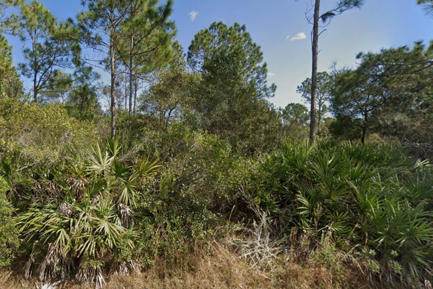 PALM COAST SEC 57 - Land