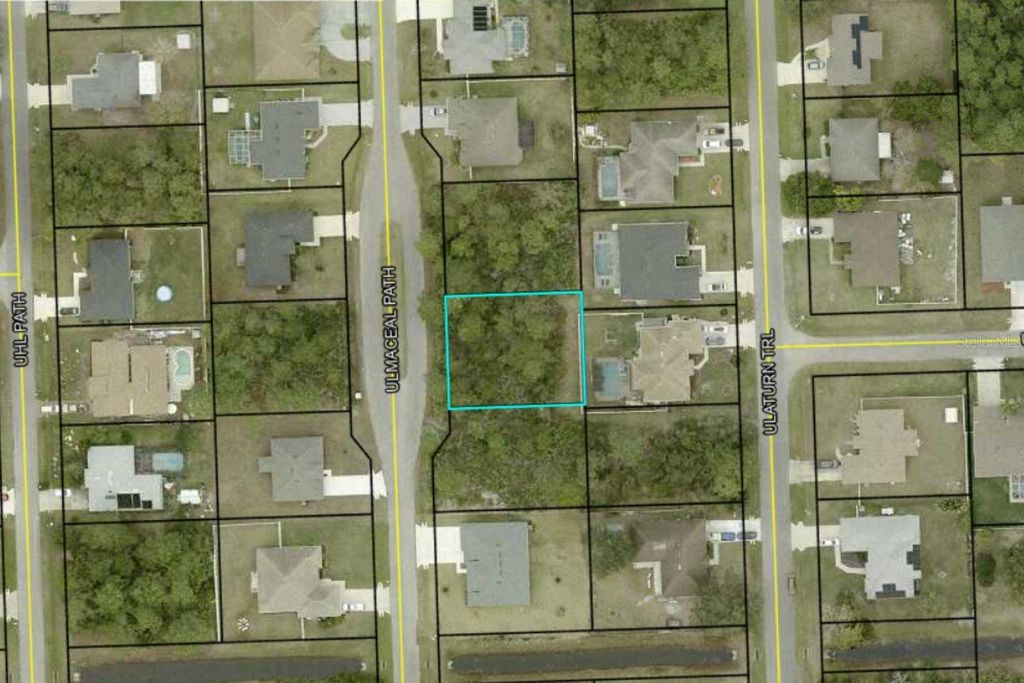 Photo of 29 Ulmaceal Path, Palm Coast, FL 32164 (MLS # TB8496482)