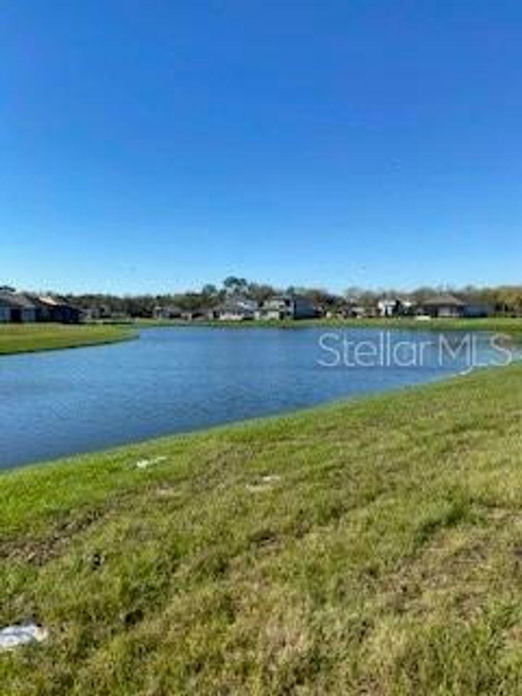 Photo of 1901 Twin Rivers Trail, Parrish, FL 34219 (MLS # A4659964)