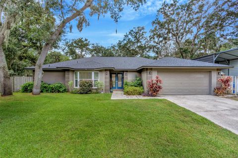 A home in BRANDON